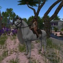 Thumb 58c82cd2b015403c31000001