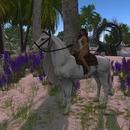 Thumb 58c82d95e85cda3e2a000001