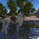 Thumb 58c82e80b713f77336000001