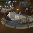 Thumb 58c9b874b015401aac000001