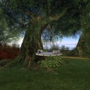 Thumb 58cb51a5f8a1ec2253000001