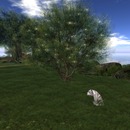 Thumb 58cb5217e85cda174c000001