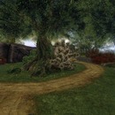 Thumb 58cb52e3b713f74661000001