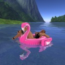 Thumb 58cc6b99b0154060ac000001