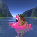 Thumb 58cc6bacb015406177000001