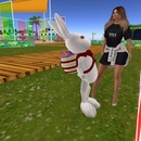 Thumb 58cd4e10b015400a52000001