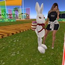 Thumb 58cd4ef8e85cda1609000001