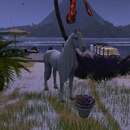 Thumb 58cf652fb713f71e06000001