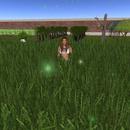 Thumb 58d3fcafd774f87f63000001