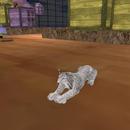 Thumb 58dd839c289dd27c35000001