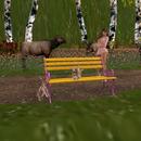 Thumb 58e146be73ed171965000001