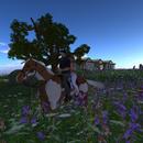 Thumb 58e2e991d9859c1102000001