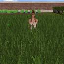 Thumb 58e5361bd774f8747f000001