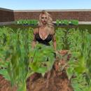 Thumb 59088cc9289dd2395b000001