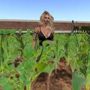 Thumb 59088cd9289dd23a2b000001