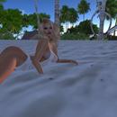 Thumb 59112a4d73ed173b99000001