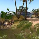 Thumb 591cabdd289dd21be6000001