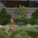 Thumb 591e6d74d9859c12b4000001