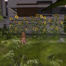 Thumb 591e6e6573ed1711db000001