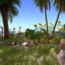 Thumb 591e721e73ed172da9000001