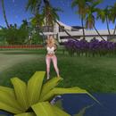 Thumb 591f240873ed17465f000001