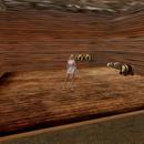 Thumb 5934d87273ed1772b6000001