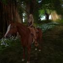 Thumb 593a6875d774f83e70000001