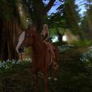 Thumb 593a68b6d9859c7393000001