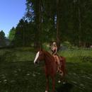 Thumb 593a690573ed1734ed000001