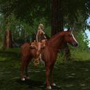 Thumb 593a692973ed17360e000001