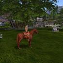 Thumb 593a6a88d774f84912000001