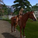 Thumb 593a6b8a289dd2635c000001