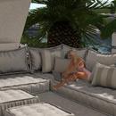 Thumb 594a0a14d9859c1fd3000001