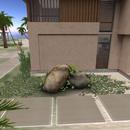 Thumb 594ce95cd774f81532000001