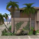 Thumb 594cec02289dd212b1000001