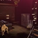 Thumb 5da7f155d774f81acb000001