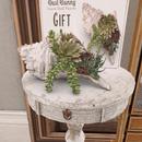 Thumb 5dab588e73ed1730d2000001