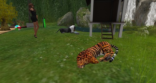 Web 556bdbb7f8a1ec5f38000001