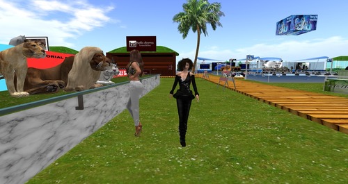 Web 5571671aa73e217a98000001