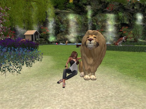 Web 5579cebb8da5722814000001