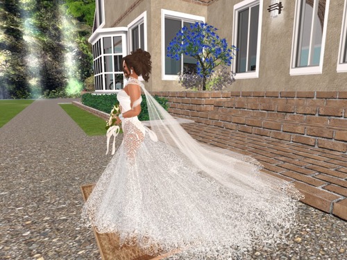 Web 557a92d68da572178c000001