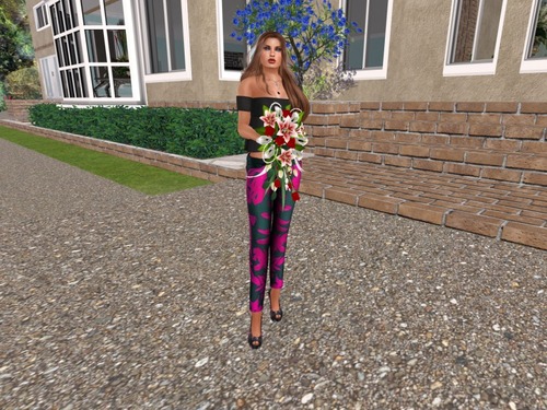 Web 557a97eb8da5722f96000001