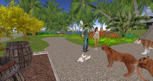 Web 557bdf4f8da57277ba000001