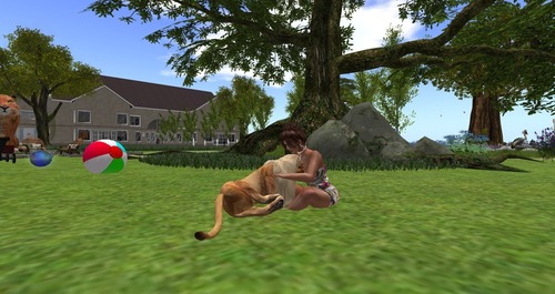 Web 55855704f8a1ec5d12000001