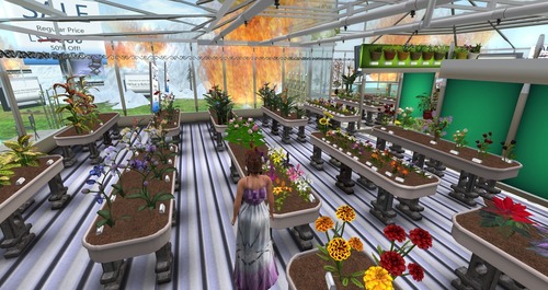 Web 558a41568da5725fab000001