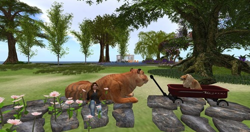 Web 558b115c128cc961ab000001