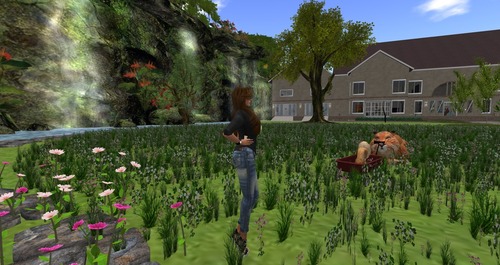 Web 558b121a8da57251a7000001