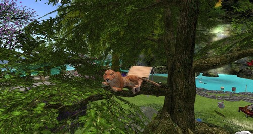 Web 558e5059a73e214b71000001