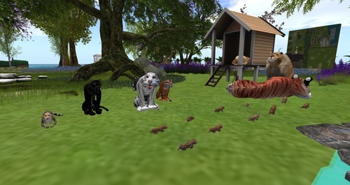 Web 559724fef8a1ec68a3000001