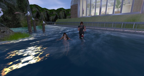 Web 55980455f8a1ec251a000001